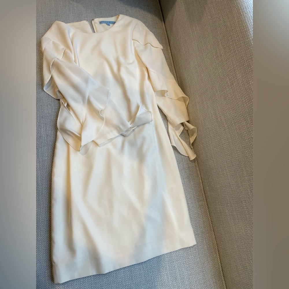 New dress never worn. Beautiful pleated sleeves